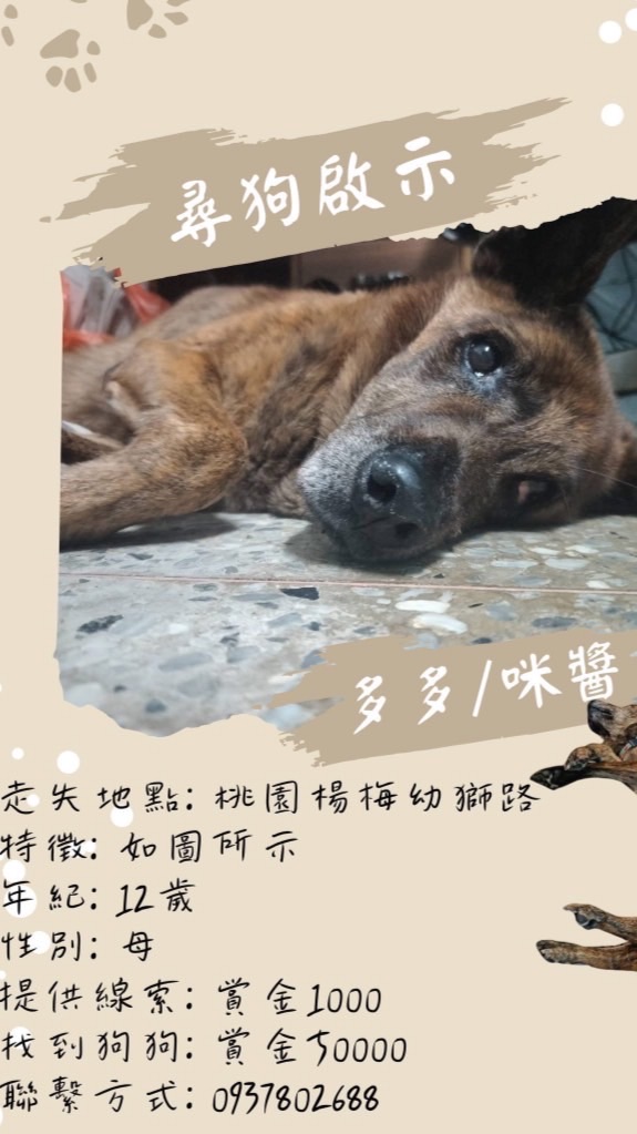 幫多多找回家的路