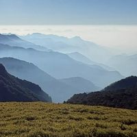 雅楓快樂歌唱班115年