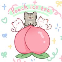 小桃冰茶🍑｜追星小物開團