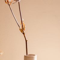 台灣小紅書交流群
