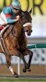 OpenChat 馬勝競馬