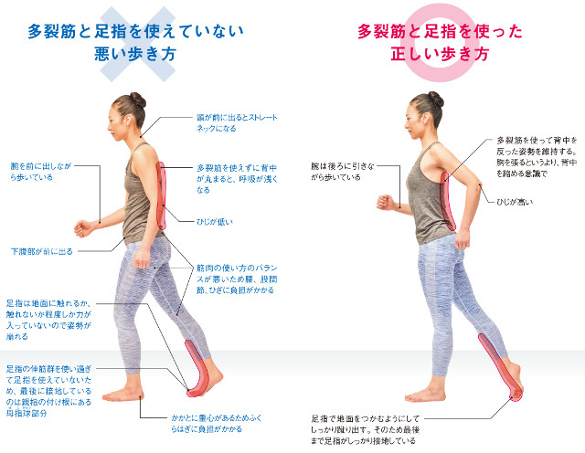 あなたの歩き方は大丈夫 体の痛みをなくせる正しい歩行方法