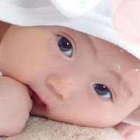 自家繁殖貓狗𠖥物交流平台