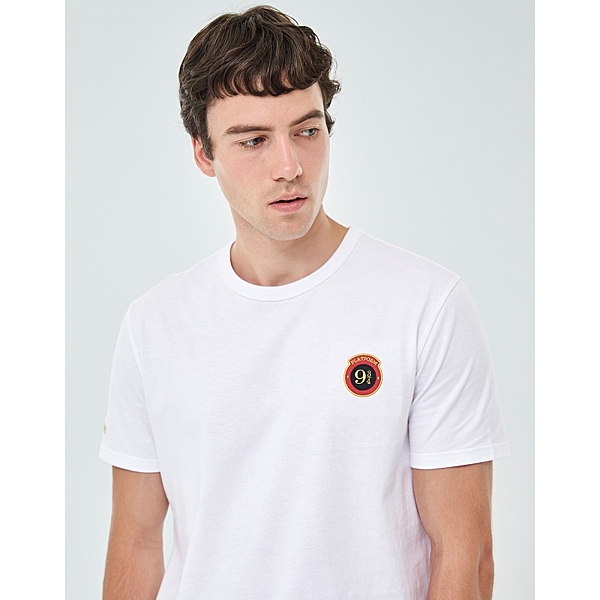 哈利波特系列，9又3/4月台電繡設計。