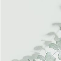 IAN STUDIO | 質感選品 | 代購 | 閒聊 | 只開晚上