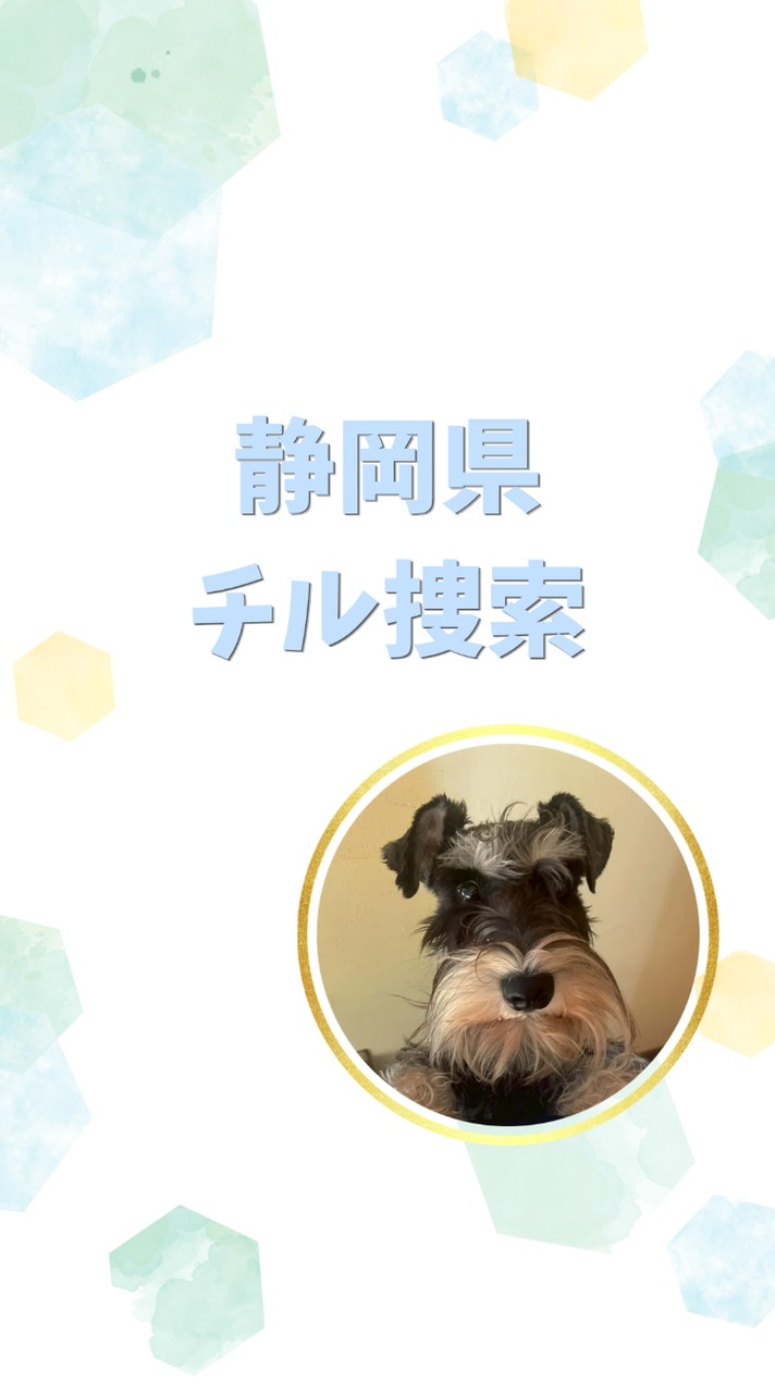 【静岡県】チル捜索🐾
