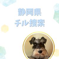 【静岡県】チル捜索🐾