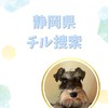 【静岡県】チル捜索🐾