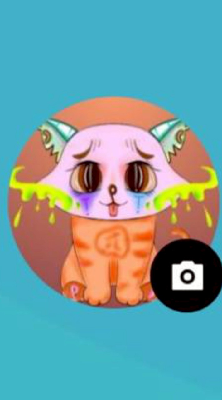 Pet For  Pi Thailand