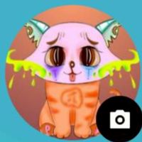 Pet For  Pi Thailand