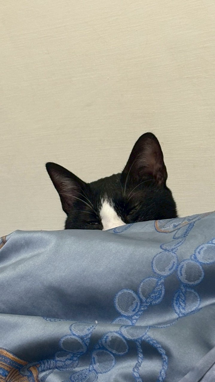 利K賺