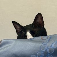 利K賺
