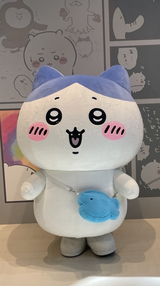 小八的開心生活