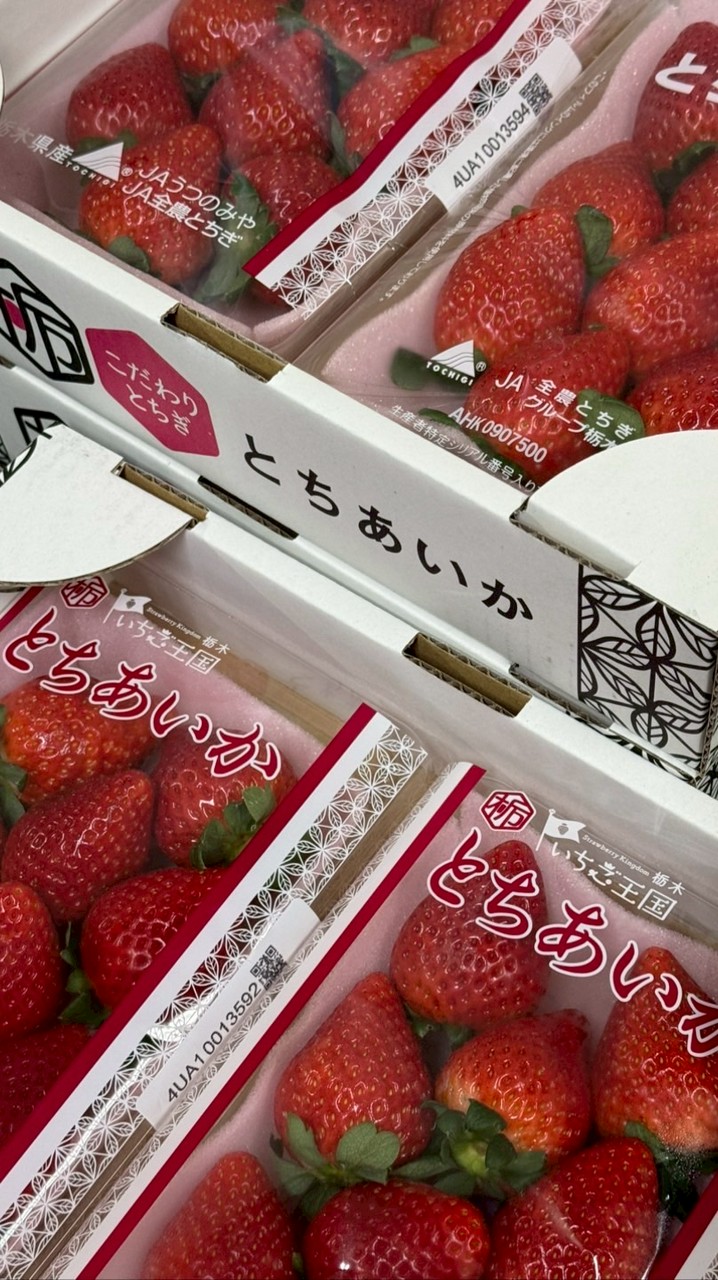 秝盛鮮果貿易（批發大群）只傳品項