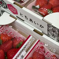 秝盛鮮果貿易（批發大群）只傳品項