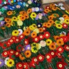 🌻ซื้อขายดอกไม้กำมะหยี่/อุปกรณ์ จัดช่อ🌻