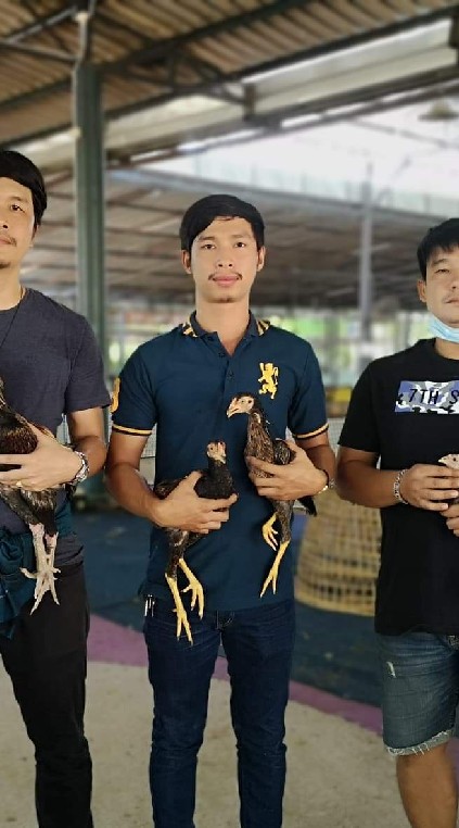 TH FARM Uthaithani