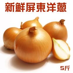 ◎自然甘甜清香|◎|◎品牌:果物樂園類型:蔬菜蔬菜種類:洋蔥重量/件:10斤±10%包裝:箱裝配送方式:常溫保存期限:此商品無保存期限，賞味期限為商品寄出日起算3~5日食品業者登錄字號:F-14270