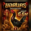 ยอดนคร บุตรชายกุมารจีน แชมป์ 6.6M