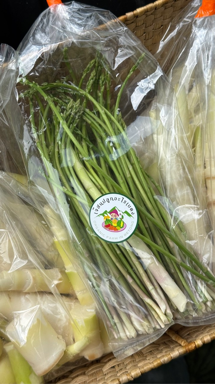 สนผักเดลี่ผักอินทรีย์ปลูกดิน เก็บวันต่อวัน🥬🥗 @เบตงไทยแลนด์