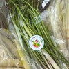 สนผักเดลี่ผักอินทรีย์ปลูกดิน เก็บวันต่อวัน🥬🥗 @เบตงไทยแลนด์