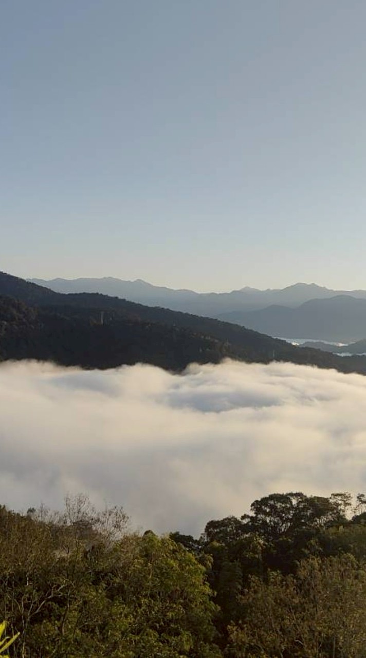 115-03-05武界雲海民宿