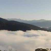 115-03-05武界雲海民宿