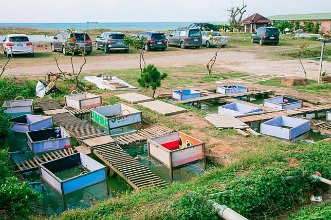 ▲三芝蟹蟹就是在乾淨的水質長大的（圖/奧丁丁市集）