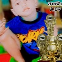 ปลากัดน้งพัทธ์สายโหด