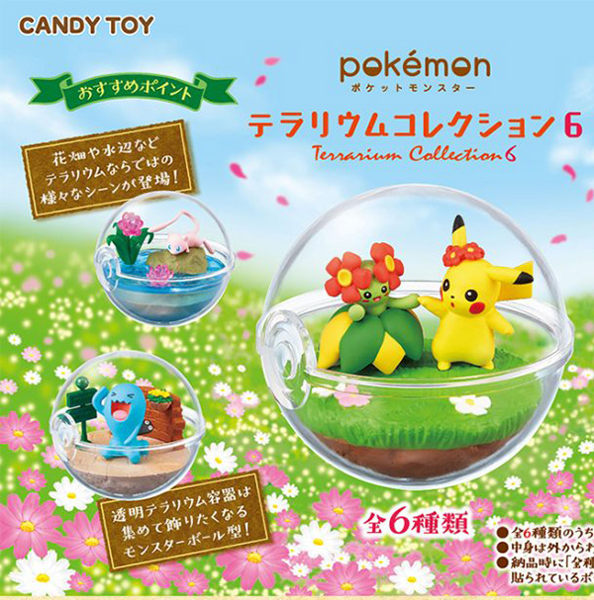 寶可夢n飼育球6