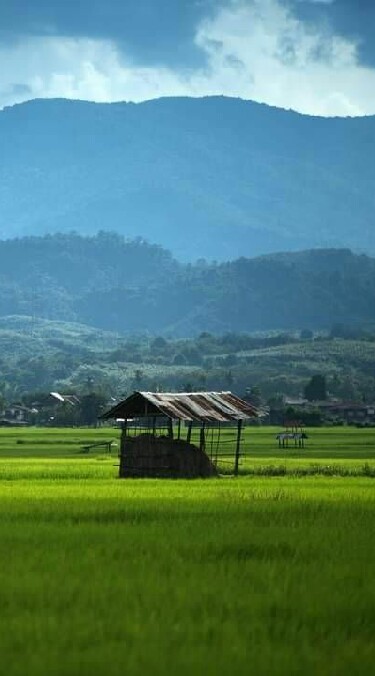 ที่นี่.สุไหงปาดี