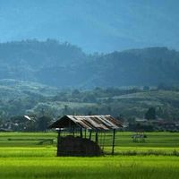 ที่นี่.สุไหงปาดี