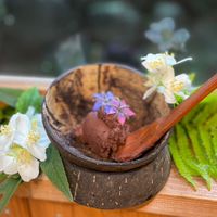 🦋カラダの内側からの美と健康⁕˚˟.‧*🌿シナジーヘルスパーティ🌳✨