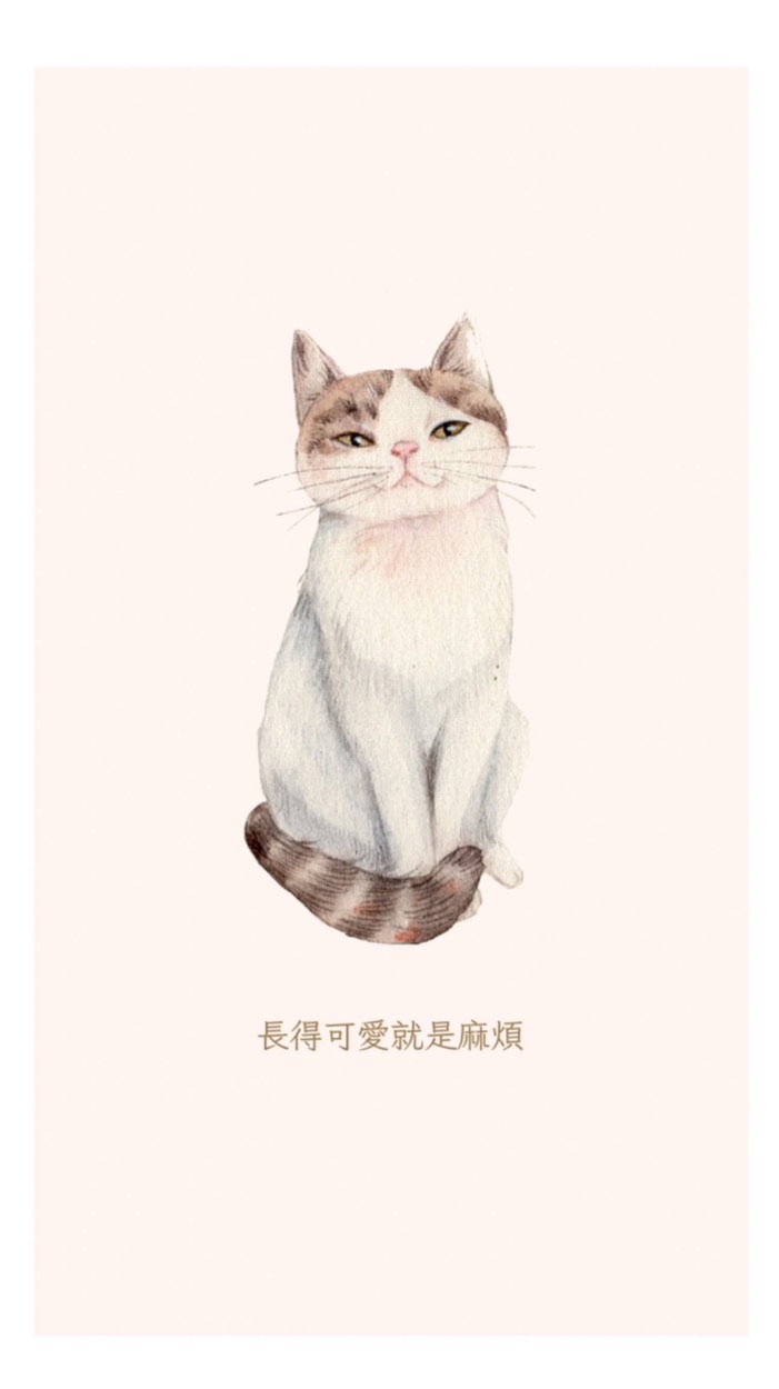 儒式矛盾綜合體