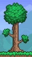 Terraria