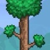 Terraria