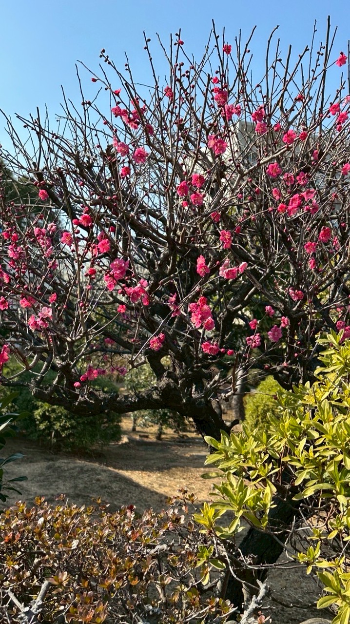 関東情報交換の部屋【東京・神奈川・埼玉・千葉】