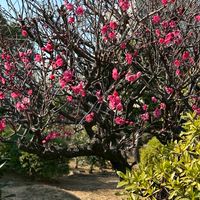関東情報交換の部屋【東京・神奈川・埼玉・千葉】