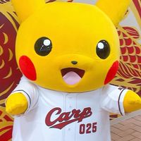 広島カープ　アスリート応援掲示板