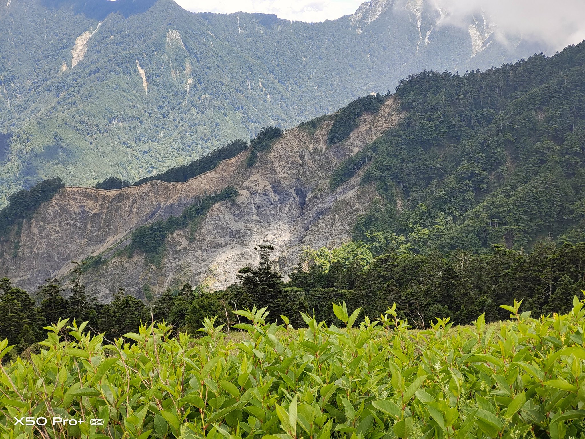 Vivo X50 Pro+(2倍）