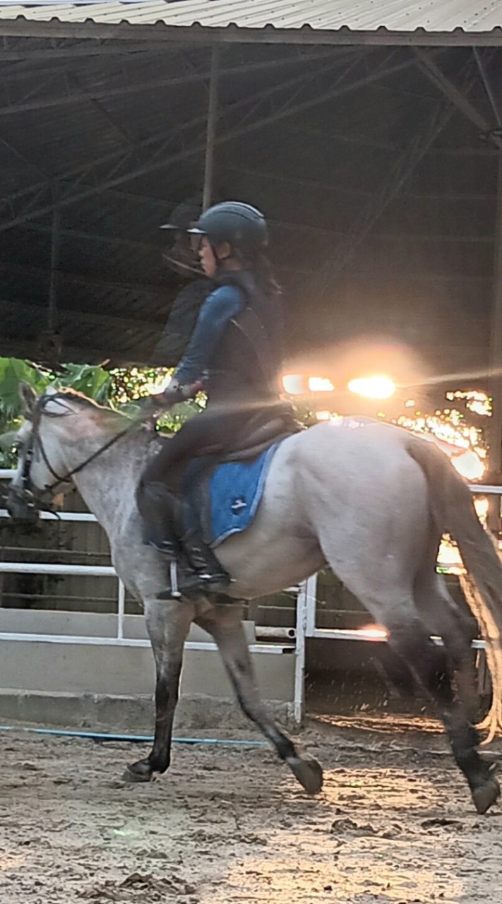 Rodeo Horse Riding