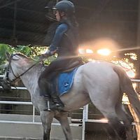 Rodeo Horse Riding