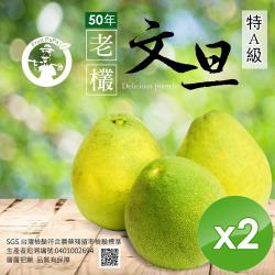 【預購】水果爸爸-FruitPaPa 葫蘆墩50年老欉特A級柚子文旦禮盒10台斤/箱x2箱