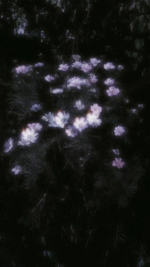 ︎︎       貴方 ヲ 想った ソノ日 カラ  、