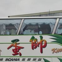 🚌帥蛋旅遊🚌