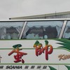 🚌帥蛋旅遊🚌
