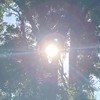 筋トレ！！いい筋肉を手に入れようぜ！出会い厨とかはお断り
