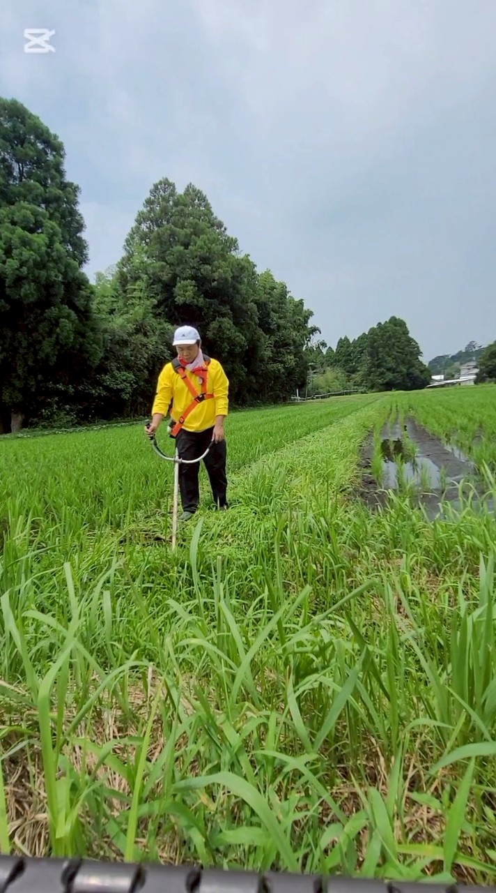 小林産山笑米2026🌾
