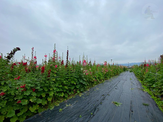 田中窯創藝園區