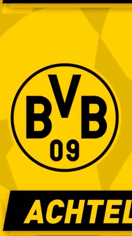 BVB Thailand Football Team